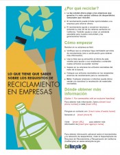 Business Flyer - Spanish